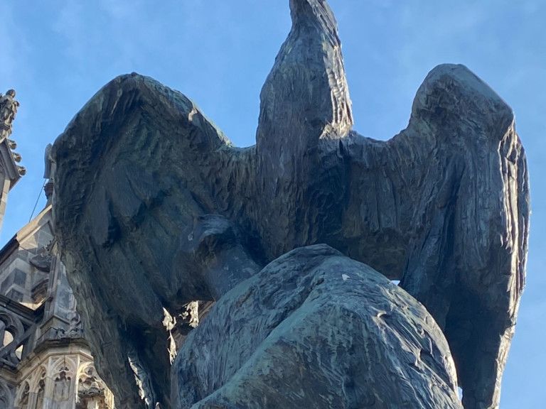 adelaar