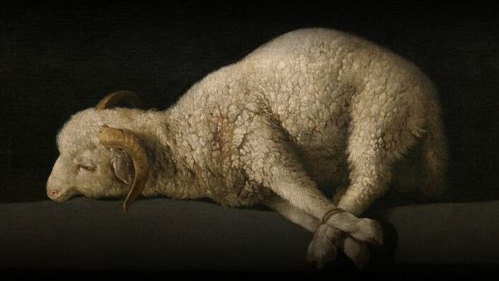 Caminos de la Cruz - 20 maart 2026 (002)