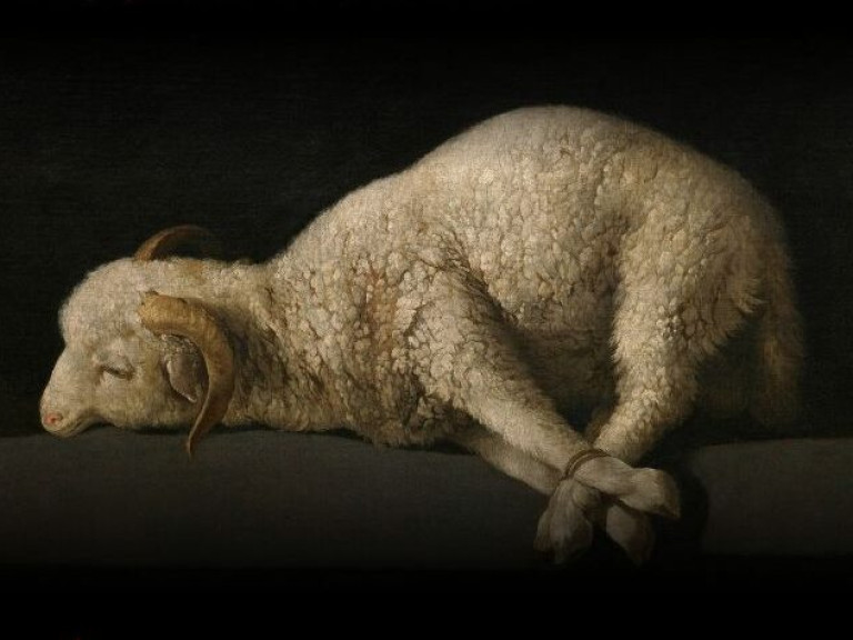 Caminos de la Cruz - 20 maart 2026 (002)