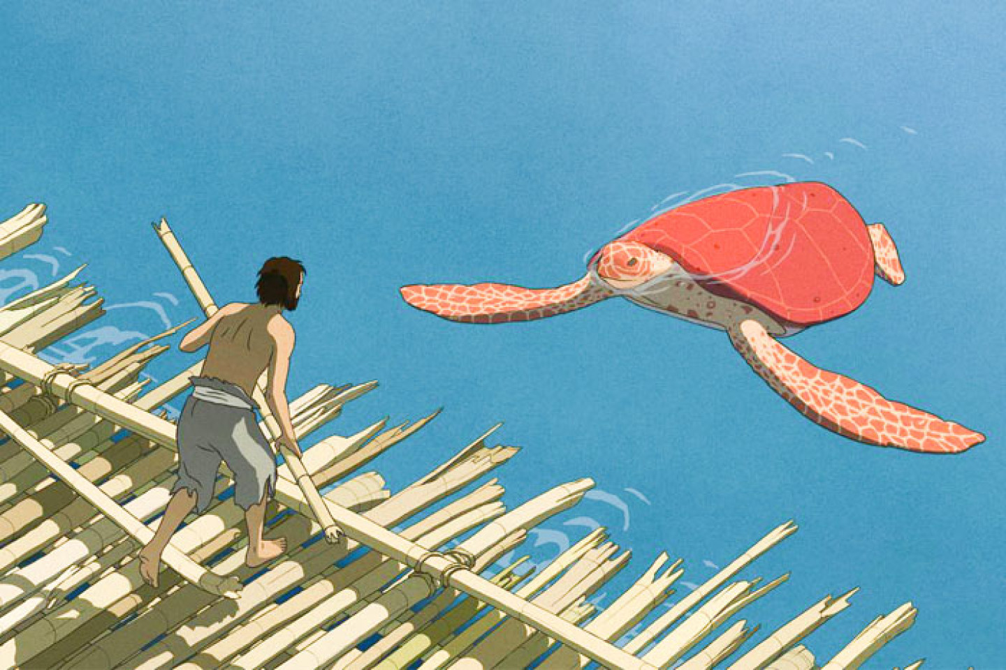 red-turtle-700x467